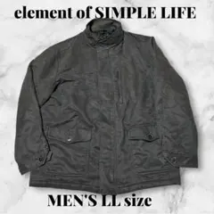 Item thumbnail for item 77261405-eeeb-4890-859c-c74f9043c148