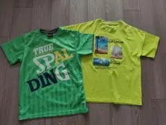 Tシャツ 2枚セット 男の子160cmのサムネイル