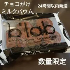 訳あり チョコがけバウムクーヘン お徳用 アウトレットスイーツ はしっこのサムネイル