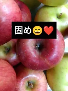 ひで様　検討品弘前産ふじ＆黄色りんご栽培中農薬不使用　りんご　9.8k梱包込み 栽培中農薬不使用 弘前産 ふじ＆黄色リンゴ4、8キロ位 梱包材込み