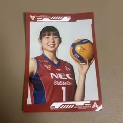 NECレッドロケッツ川崎 トレカ 山田ニ千華選手etc - メルカリ