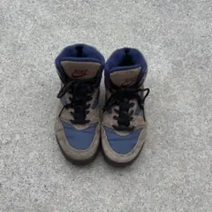 2000s初期モデルNIKE DUNK HIGH 鬼フェード 赤灰 27.5㎝ - メルカリ