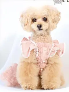 Item thumbnail for item cde813ba-9dc2-4658-9560-c8c8a1a8cdf3