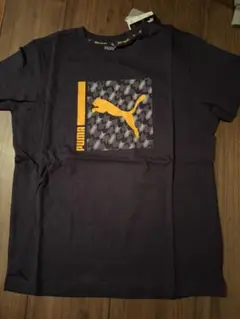 Item thumbnail for item 321f1d14-fbbd-4fb8-965f-ffc69b56898b