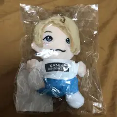 Aぇ! group ちびぬい まとめ売り 楽天市場】Aぇ!group 【 末澤誠也】 はぴぬい 2024 オフィシャルグッズ