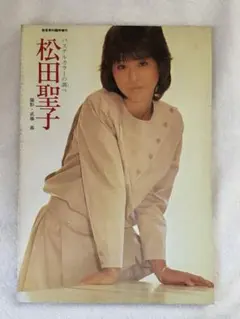 希少】松田聖子 写真集「パステルカラーの調べ」音楽専科 臨時増刊