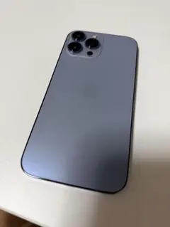 猫ちゃん様専用