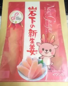 岩下の新生姜　イワシカちゃん　クリアファイル