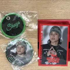 THE RAMPAGE PRIMAL SPIDER 岩谷翔吾