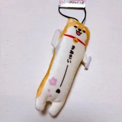 のびねこ タグ付き かみなりもん かみなりおこし 風神雷神 浅草 雷門
