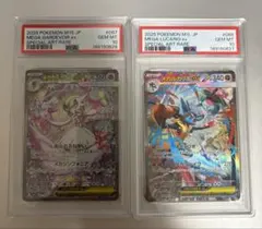 ナンジャモのハラバリー sar Nのゾロアークex sar psa10 - メルカリ