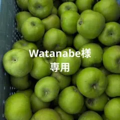 Watanabe様専用のサムネイル