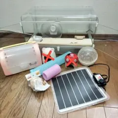 ハムスター　ゲージ　飼育セット　訳ありのサムネイル