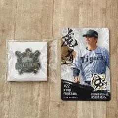 Item thumbnail for item 7ac01946-ddc0-4ebf-98df-f4ab438680fe