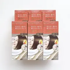 【新品】Bigen ビゲン 泡クリームカラー 5A ダークアッシュ白髪用 6個のサムネイル