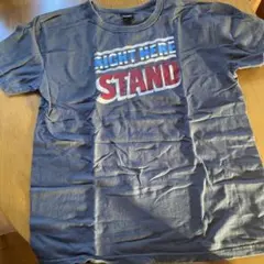 SCREEN STARS BEST グレー Tシャツ L