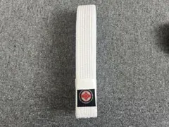 Item thumbnail for item 6c9b42e7-6b39-4e94-8df7-a5be4e49d629