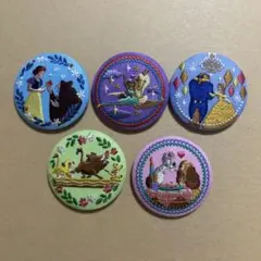 ディズニープリンセス刺繍ピンバッジ5個セット