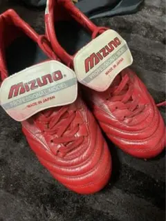 Item thumbnail for item b779c291-67de-43bd-acd3-9793d78a1fcc