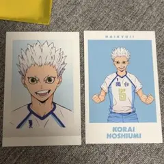ハイキュー ポストカード 星海 昼神 - メルカリ