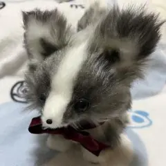 Jam or Pains. ぬいぐるみ　星猫　国内作家様 Jam or Pains. ぬいぐるみ 星猫 国内作家様 - メルカリ