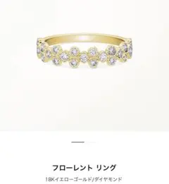 【定価317900円】AHKAH アーカー フローレントリング 11号