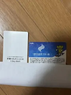 2026年最新】野沢温泉 リフト券の人気アイテム - メルカリ
