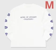 Item thumbnail for item 1f928083-669e-4995-ab79-76ed6b78d8c2