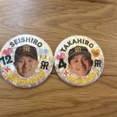 阪神タイガース 坂本誠志郎 缶バッジ