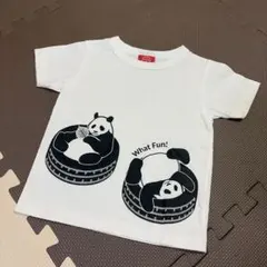 オジコ パンダ 4A 90-100 記名なし タイヤのサムネイル
