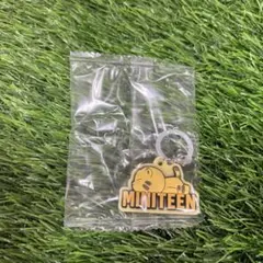 セブチ MINITEEN めじるし ホシ タムタム