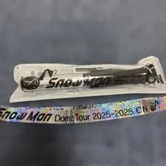 Snow Man Dome Tour 2025-2026 ON ペンライト