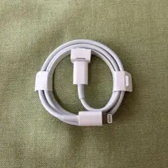 Apple Lightningケーブル ホワイト
