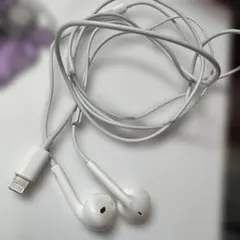 Apple iPhone 純正イヤホン ライトニング端子のサムネイル