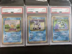 ポケモンカード ゼニガメ カメール カメックス PSA鑑定品 3枚セット