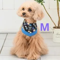 Item thumbnail for item a0f3efdf-3e9b-4bc1-95d7-0dddd836ac72