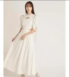 snidel スイッチングデコルテオープンワンピース