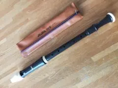 Item thumbnail for item f84dc696-1a96-4a15-895a-ab2f9afbb69d