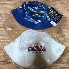 Item thumbnail for item c617916e-fd59-4434-a161-36d614e74eb3