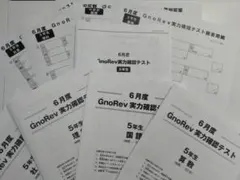 2026年最新】グノーブル 実力テストの人気アイテム - メルカリ