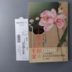 小原古邨の小宇宙(ミクロコスモス) 小さな命のきらめく瞬間