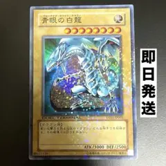 青眼の白龍 DT01-JP001 ブルーアイズ　デュエルターミナル
