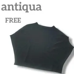 antiqua　レディース　ジョーゼット　ドルマンスリーブ　半袖　カットソーのサムネイル