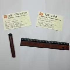 2026年最新】工房楔芯ケースの人気アイテム - メルカリ