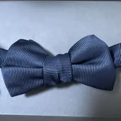 Item thumbnail for item 603b1247-7008-431b-ac0f-bf3bdff3146f