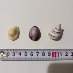 Jihi様　専用商品