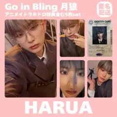 &TEAM ハルア HARUA ラキドロ 第二弾 きゅるる ぐるる コンプセット