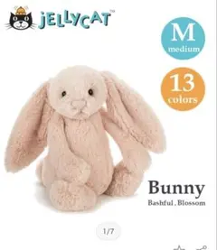 廃盤 新品 ジェリーキャット ブロッサム ベージュ バニー Sサイズ 茶色