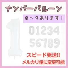 Item thumbnail for item b99839aa-330b-467b-9b9c-a8ea12c2a452