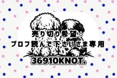 売り切り希望☆プロフ読んで下さイさま専用